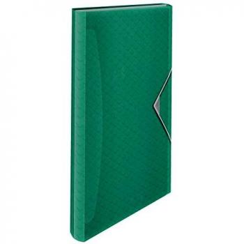 ESSELTE 626253 - Carpeta acordeón con 6 separadores COLOUR'ICE PP color verde