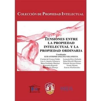 Tensiones entre la propiedad intelectual y la propiedad ordinaria