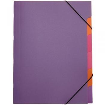 Carpeta Organizadora PAGNA Funky School A4, 5 Compartimentos, PP, Color Lila