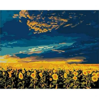 Diy oil painting, paint by number kit- Sunflower vast 16*20 inch. by Colour Talk