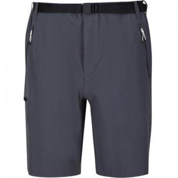 Regatta Xert Stretch III Men's Mountain Walking Shorts - Grey