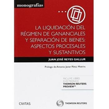 Liquidación Del Régimen De Gananciales Y Separación De Bienes,La: Aspectos Proce