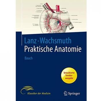 Bauch: 6