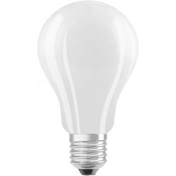 Bombilla LED Filamento E27 17W 2452lm Blanco Frío Mate (Reemplazo 150W)