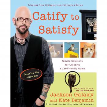 Catify to Satisfy: Simple Solutions for Creating a Cat-Friendly Home