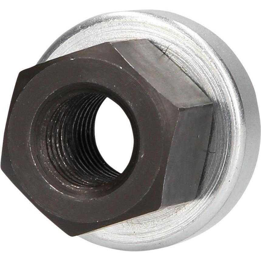Imagen Principal