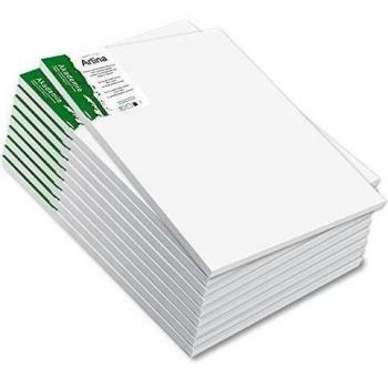 Set de 10 lienzos blancos de 100% algodón con bastidores robustos - Calidad >Akademie< - 280g/m² - 20x40 cm