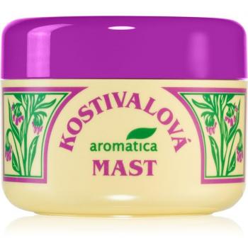 Aromatica Tradice z přírody Costival Ointment for Muscle Regeneration 100 ml