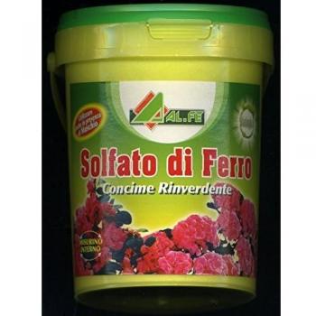 Sulfato de Hierro Alfe 1 KG - Fertilizante Ecológico para Suelos Ácidos