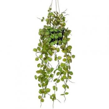 Planta Colgante Artificial Ceropegia en Maceta 50 cm - Emerald, Decoración Verde, Material Plástico, Diseño Naturalista