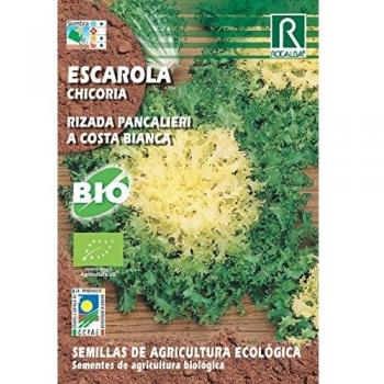 Semillas ECOLOGICAS Escarola Rizada Pancalieri 5 gr.