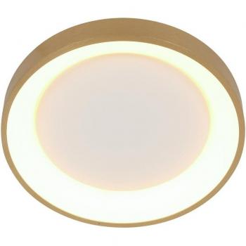 Plafón LED Ringlede Steinhauer, dorado, altura 6 cm, diámetro 38 cm, material metal, integrado (LED), modelo 3691GO