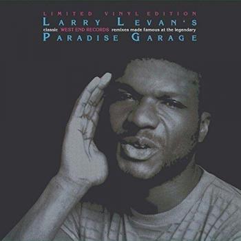 paradise garage remixes [Vinilo]
