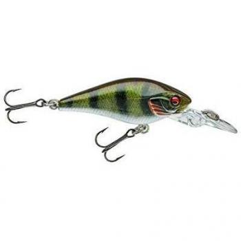 Daiwa - Fishing Lure Prorex Baby CB 40 Mr Live Perch - 15206406