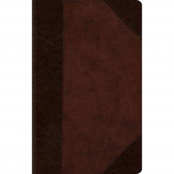 ESV Large Print Compact Bible TruTone Brn Walnut Portfolio Design