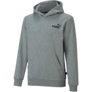 Sudadera Puma Essentials Small Infantil Gris con capucha, logo pequeño, color gris