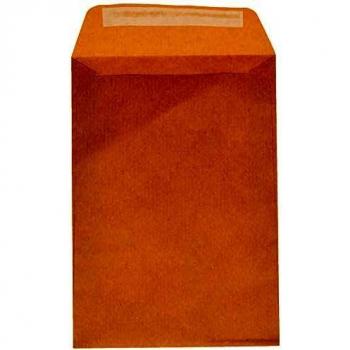 Liderpapel SB47, Sobre bolsa salarios, Engomado, 120 x 176 mm, Caja De 1000 Unidades