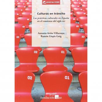 Culturas en tránsito: Las prácticas culturales en España en el comienzo del siglo XXI: 36 - Ramón Llopis Goig