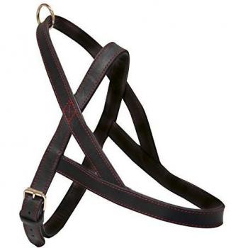 Croci C5061194 Arnés Sueco de Linea Elite en Piel