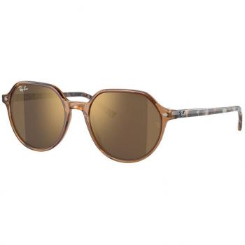 Ray-Ban RB2195F Thalia 53mm Brown Men's Sunglasses Asian Fit
