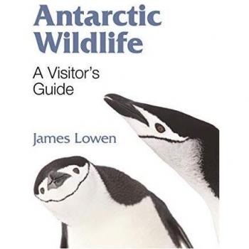 Antarctic Wildlife: A Visitor's Guide