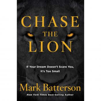Chase the Lion