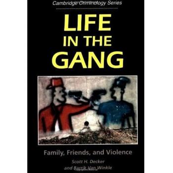 Vida en la Pandilla: Familia, Amigos y Violencia (Serie de Estudios en Criminología de Cambridge)