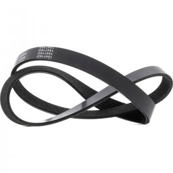 Correa Trapecial Poli V RIDEX 305P0055 para VW, AUDI y OPEL - Cinghia de Servicios 1050mm