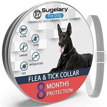 Collar Antiparasitario para Mascotas Perros Plagas Repelentes para Mascotas Agregado con Aceites Naturales, Tamaño Ajustable e Impermeable, Detiene Mordeduras y Picazón