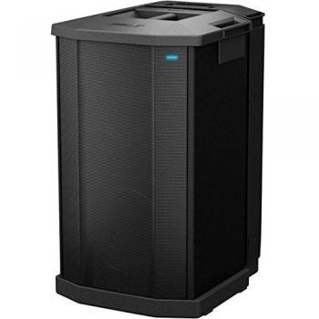 Bose Performance Stage Subwoofer with 1000W Power (731444-1110)