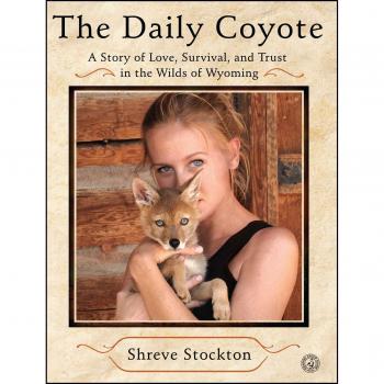 The daily coyote a story of love survival and trust in the wilds of wyoming
