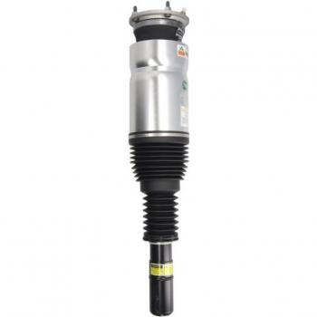 Amortiguador telescópico neumático Arnott Europe AS-3069
