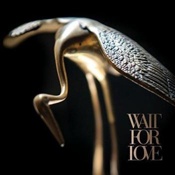 Wait For Love [Vinilo]