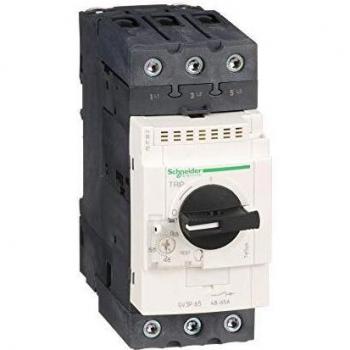 GV3P65 Motor Protection Circuit Breaker 48-65A 3-Pole
