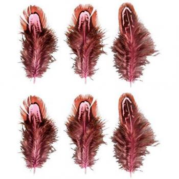 Plumas Decorativas Rosa Garofano 5-10cm, 6 Piezas