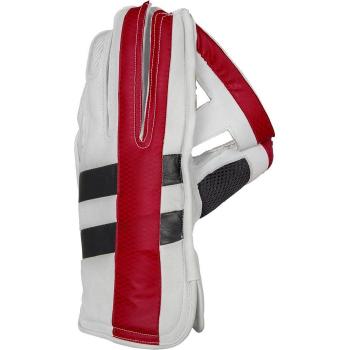 GRAY-NICOLLS Predator 3 edición limitada de críquet deporte – Guantes de cricket, multicolor