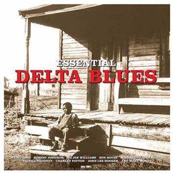 Blues Delta Esencial (Alta Calidad)