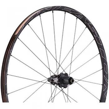 Easton - Neumáticos de Disco EA90 AX DISC-700C, Delanteros, para Adultos, Unisex, Color Negro, Delantero, 12 x 100/15 x 100
