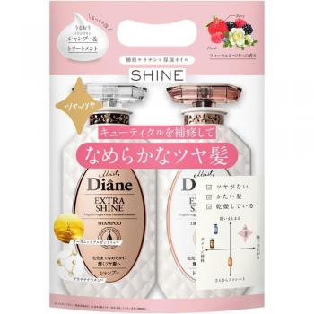 Perfect Beauty Extra Shine Shampoo and Treatment Set 450ml x 2