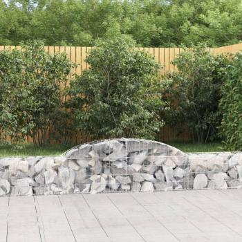 Cestas de gaviones 20 uds forma de arco hierro 300x30x40/60 cm