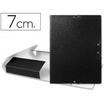 Liderpapel PJ74 - Carpeta proyectos