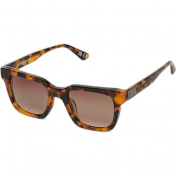 Superdry SDR Garritsen Men's Brown Sunglasses
