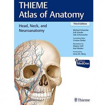 Head, Neck, and Neuroanatomy
