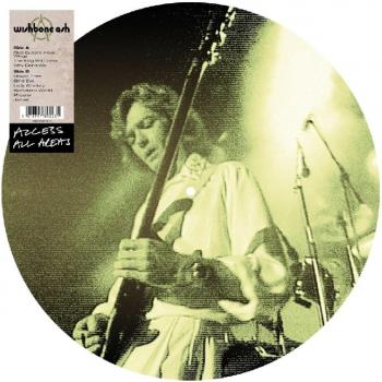 Access All Areas: Alliance Wishbone Ash Live Concert DVD