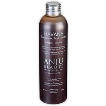 SHAMPOING ECLAT HAVANE ANJU 1L