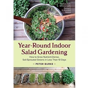 Year-Round Indoor Salad Gardening: How to Grow Nutrient-Dense, Soil-Sprouted Greens in Less Than 10 Days