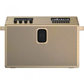 Altavoz Bluetooth Grande Mondo by Defunc con Asistente de Google y Siri - Oro (8 h)