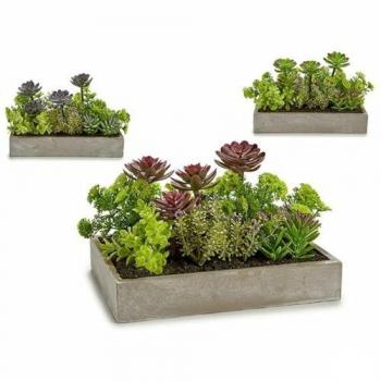 Ibergarden Planta Decorativa Suculenta Plástico Cemento 16,5 x 20 x 28,5 cm (6 Unidades)
