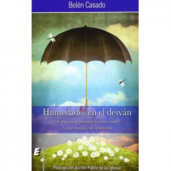 Humedades en el desván