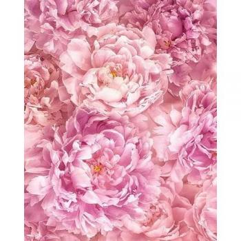 Papel Pintado No Tejido Komar Rosa 200 x 250 cm - Ancho de Banda 100 cm